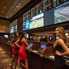 465 bet 465 bet